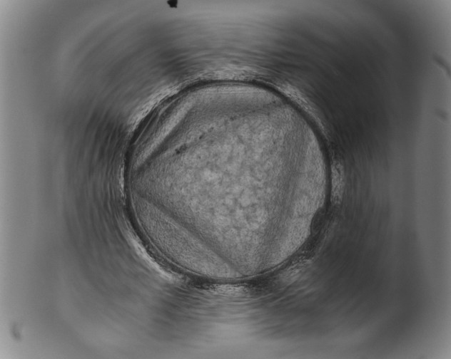 X0000101950581200808081507