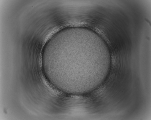 X0000101950582200808081507