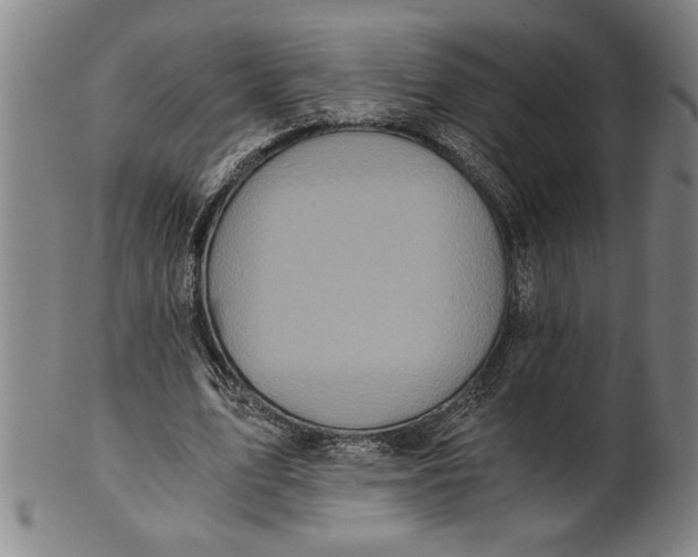 X0000101950583200808081507