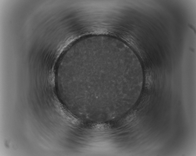 X0000101950584200808081507