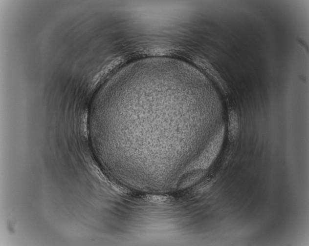 X0000101950585200808081507