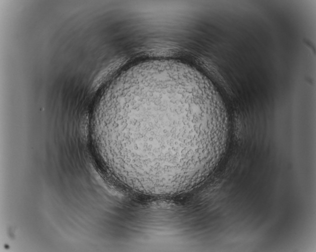 X0000101950586200808081507