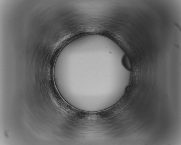 X0000101950587200808081507