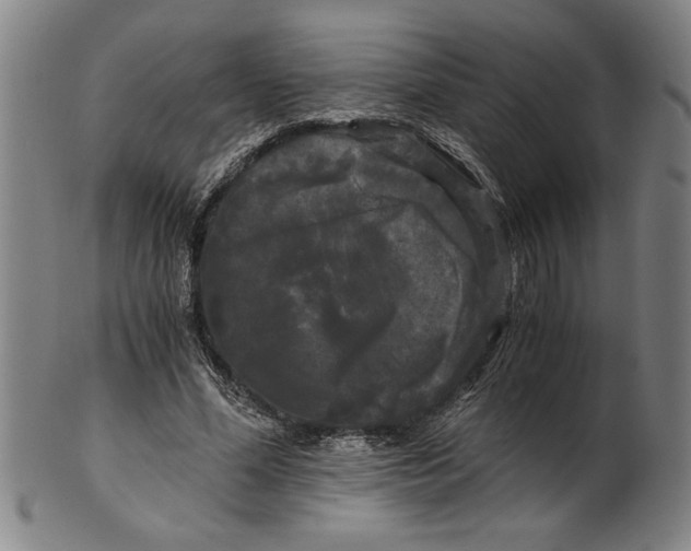 X0000101950588200808081507