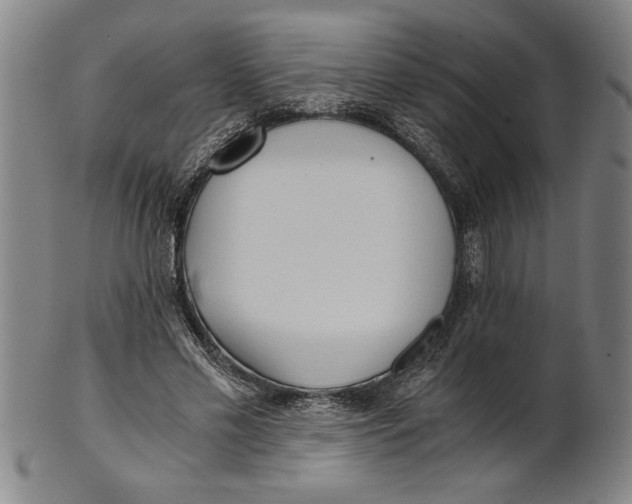 X0000101950589200808081507