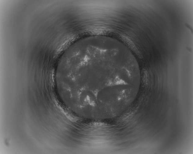X0000101950590200808081507