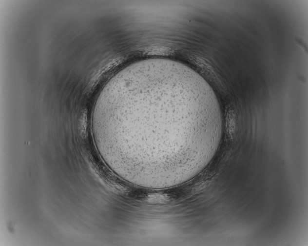 X0000101950591200808081507
