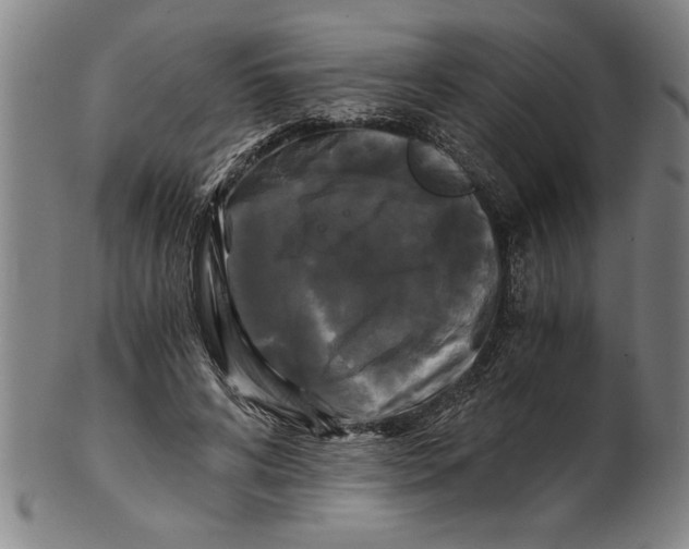 X0000101950592200808081507