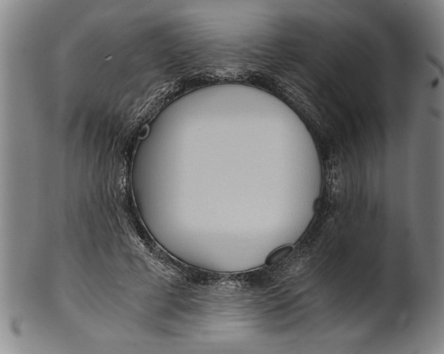X0000101950593200808081507
