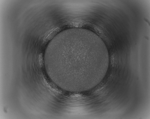 X0000101950594200808081507
