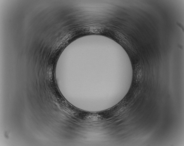 X0000101950595200808081507