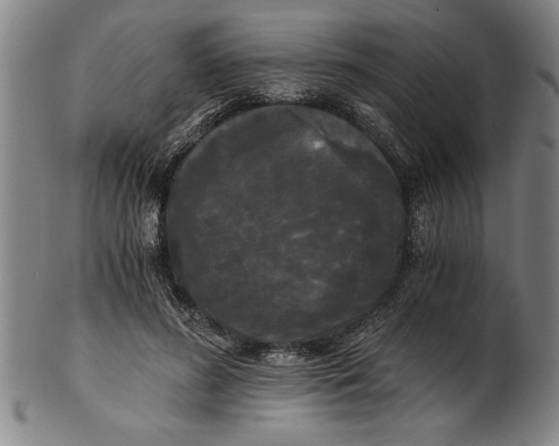 X0000101950596200808081507