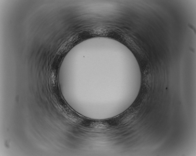 X0000101950597200808081507