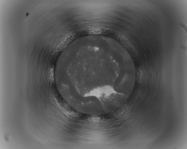 X0000101950598200808081507