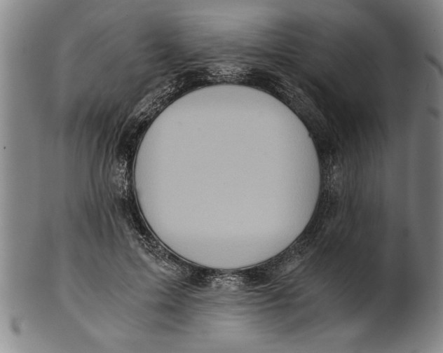 X0000101950599200808081507