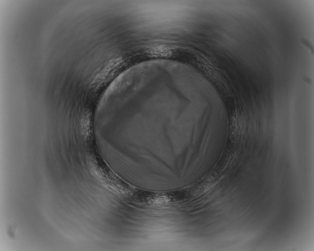 X0000101950600200808081507
