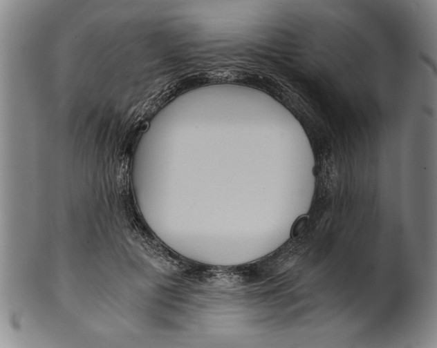 X0000101950601200808081507