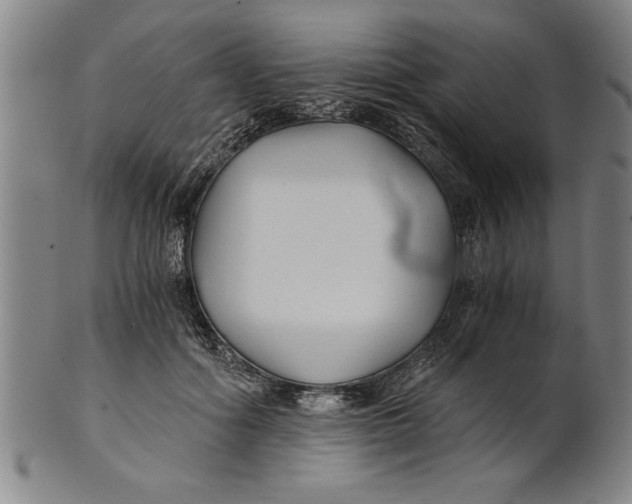 X0000101950602200808081507
