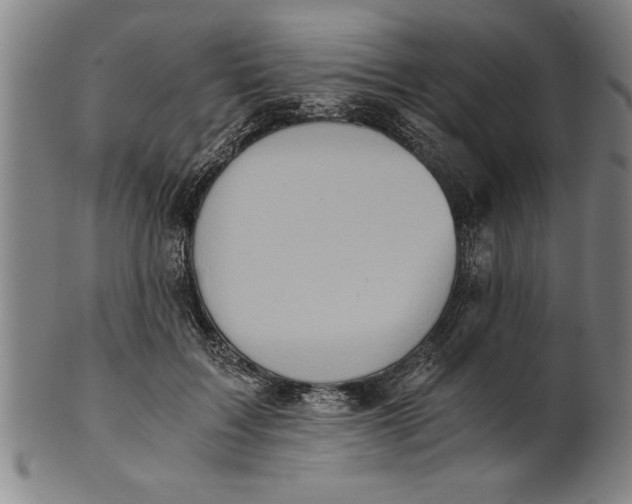 X0000101950603200808081507