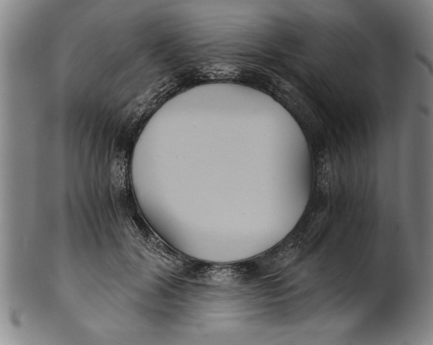 X0000101950604200808081507