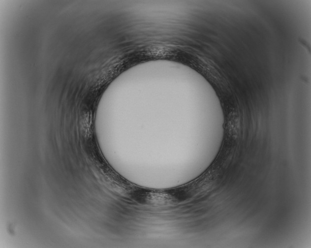 X0000101950605200808081507