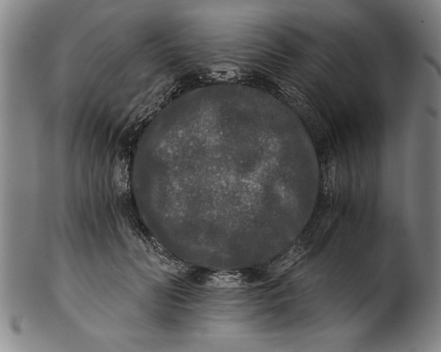 X0000101950606200808081507