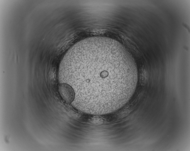 X0000101950608200808081507