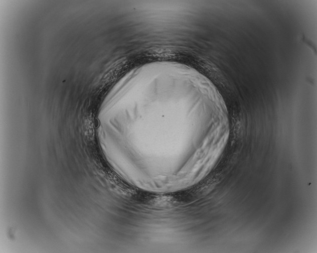 X0000101950609200808081507