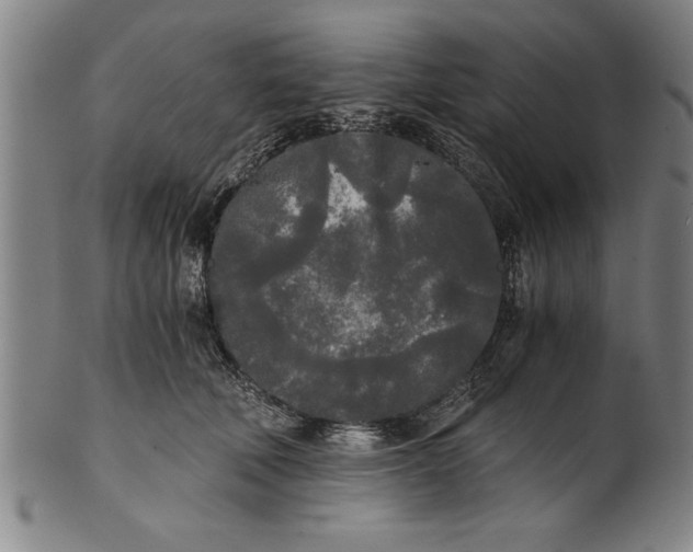 X0000101950610200808081507