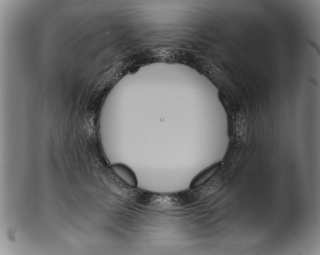 X0000101950611200808081507