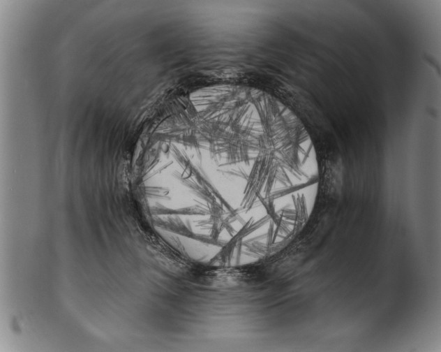 X0000101950612200808081507