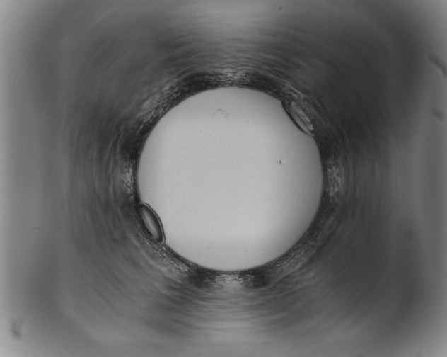 X0000101950613200808081507