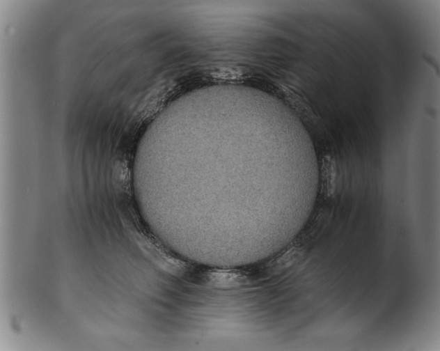 X0000101950614200808081507