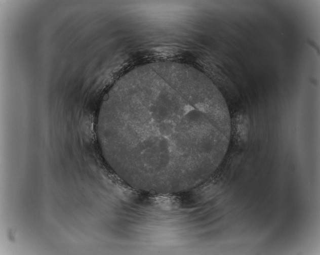 X0000101950615200808081507