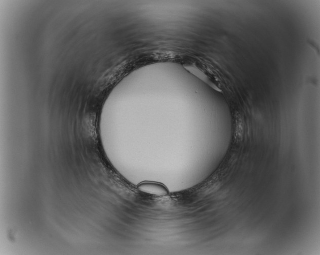 X0000101950616200808081507