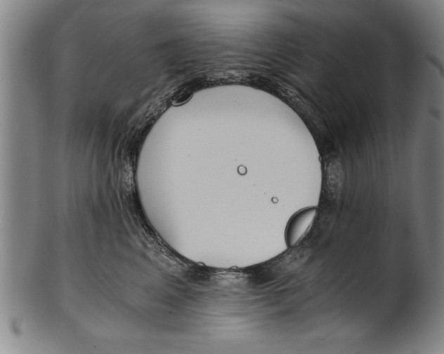 X0000101950617200808081507
