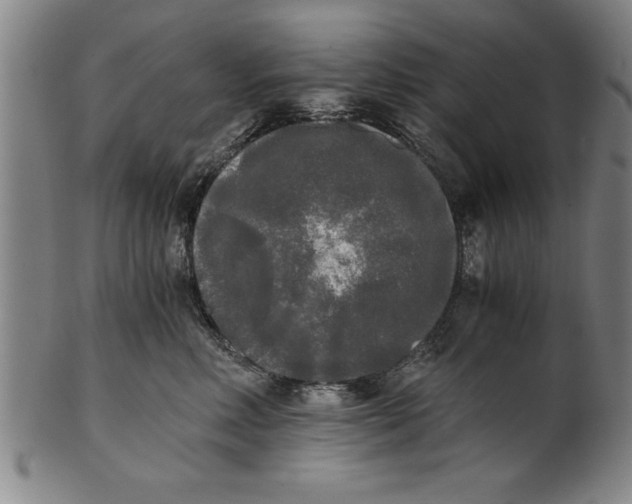X0000101950618200808081507