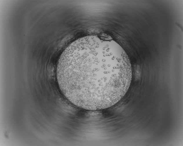 X0000101950619200808081507