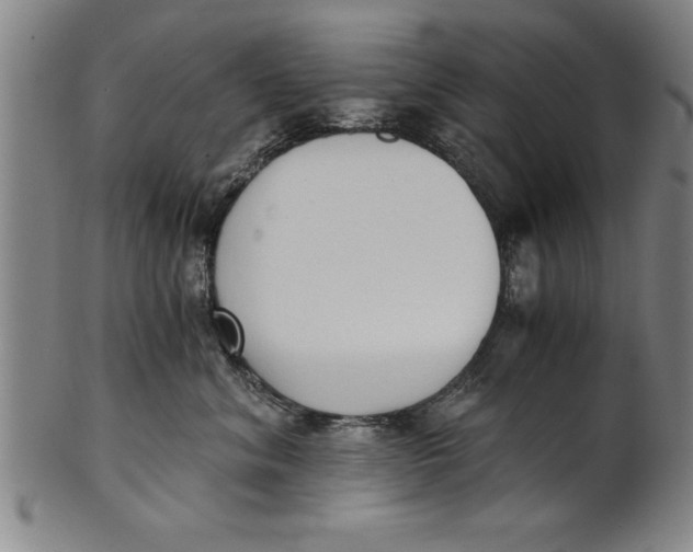 X0000101950620200808081507