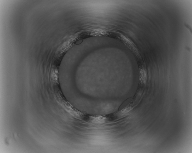 X0000101950621200808081507