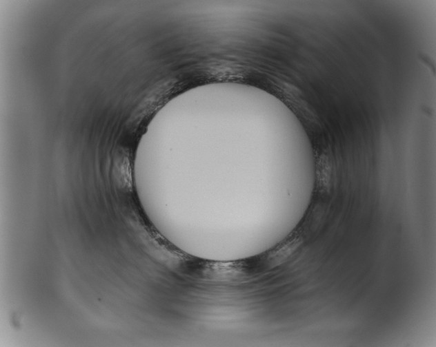 X0000101950622200808081507