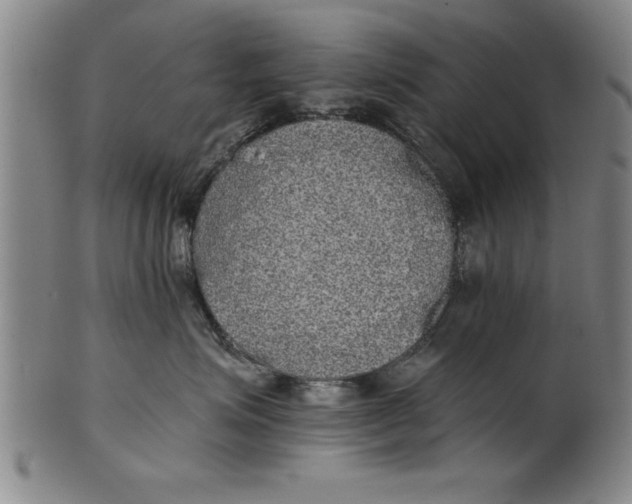 X0000101950623200808081507