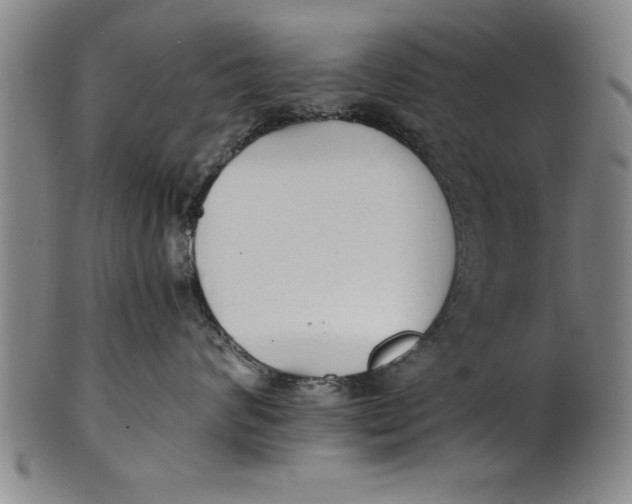 X0000101950624200808081507