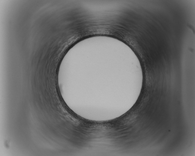 X0000101950625200808081506