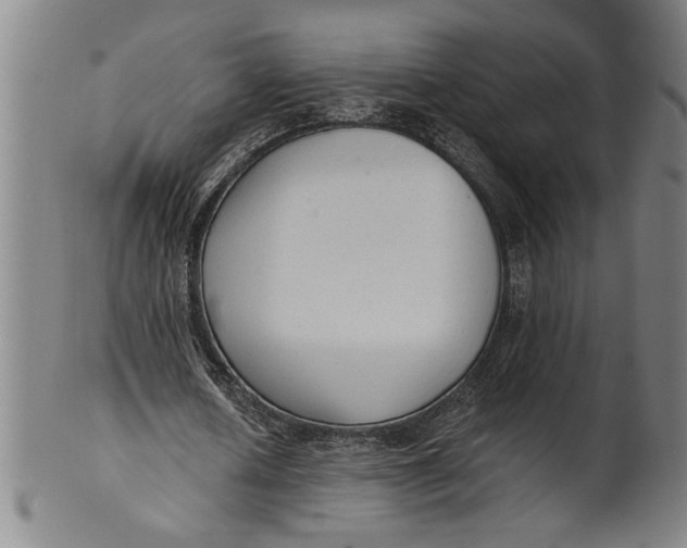 X0000101950626200808081506