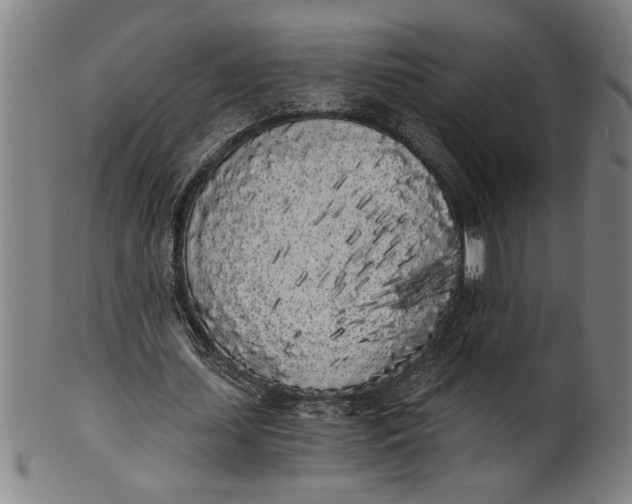 X0000101950627200808081506