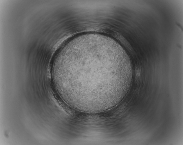 X0000101950628200808081506