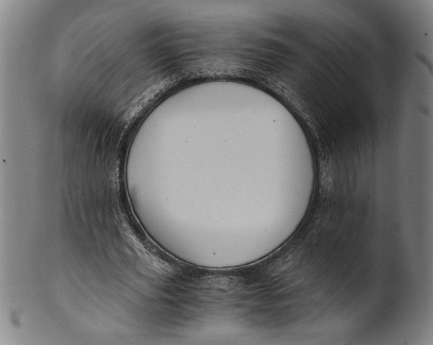X0000101950629200808081506