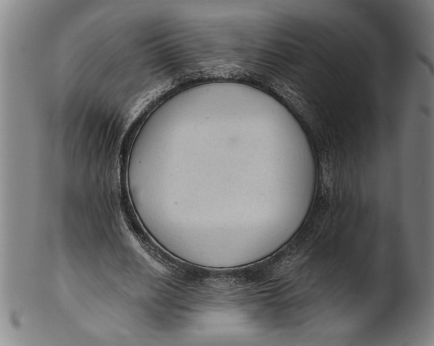 X0000101950630200808081506