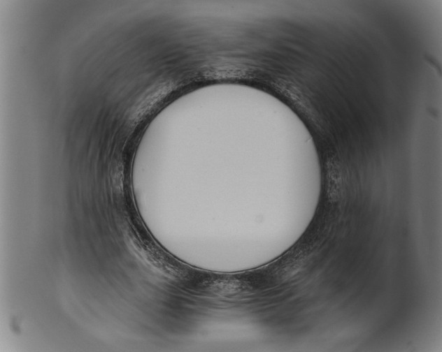 X0000101950631200808081506